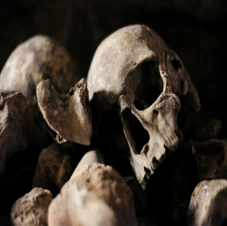Paris Catacombs